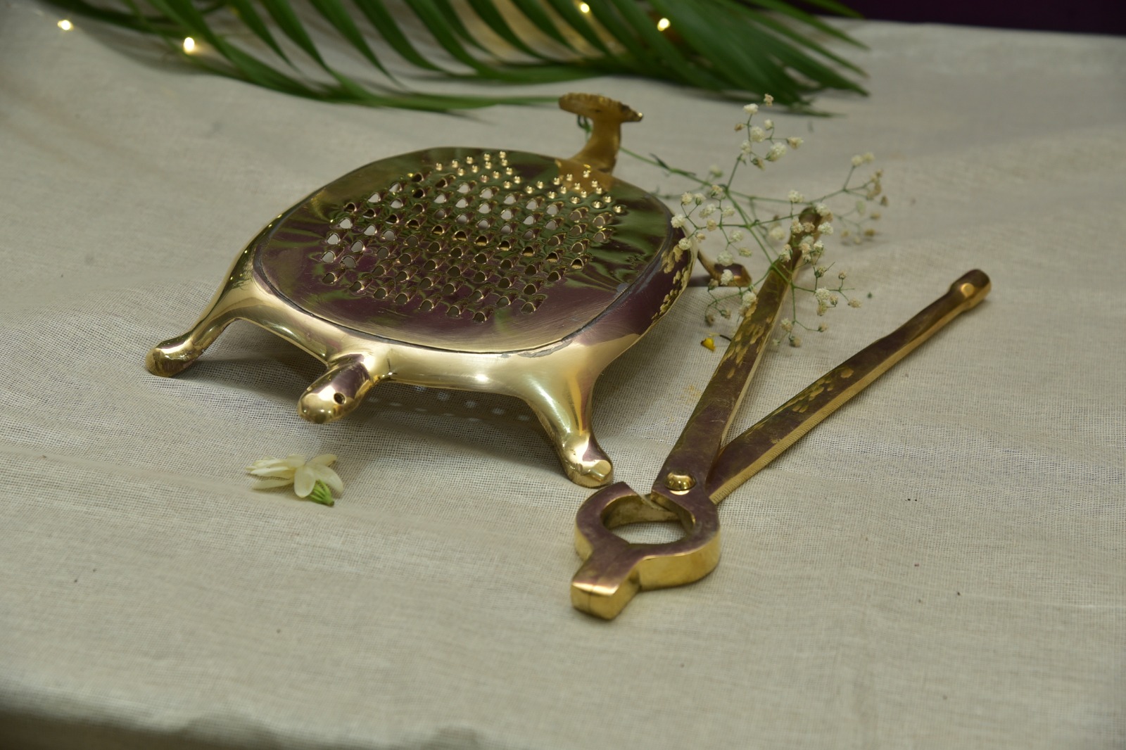 Brass Tortoise Grater Image 1
