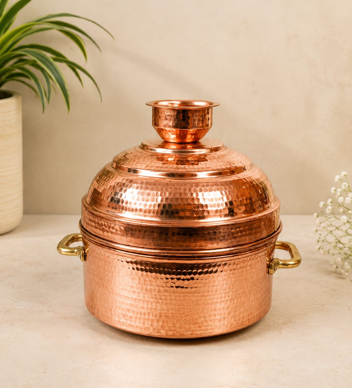 Modak Patra (Copper Steamer )
